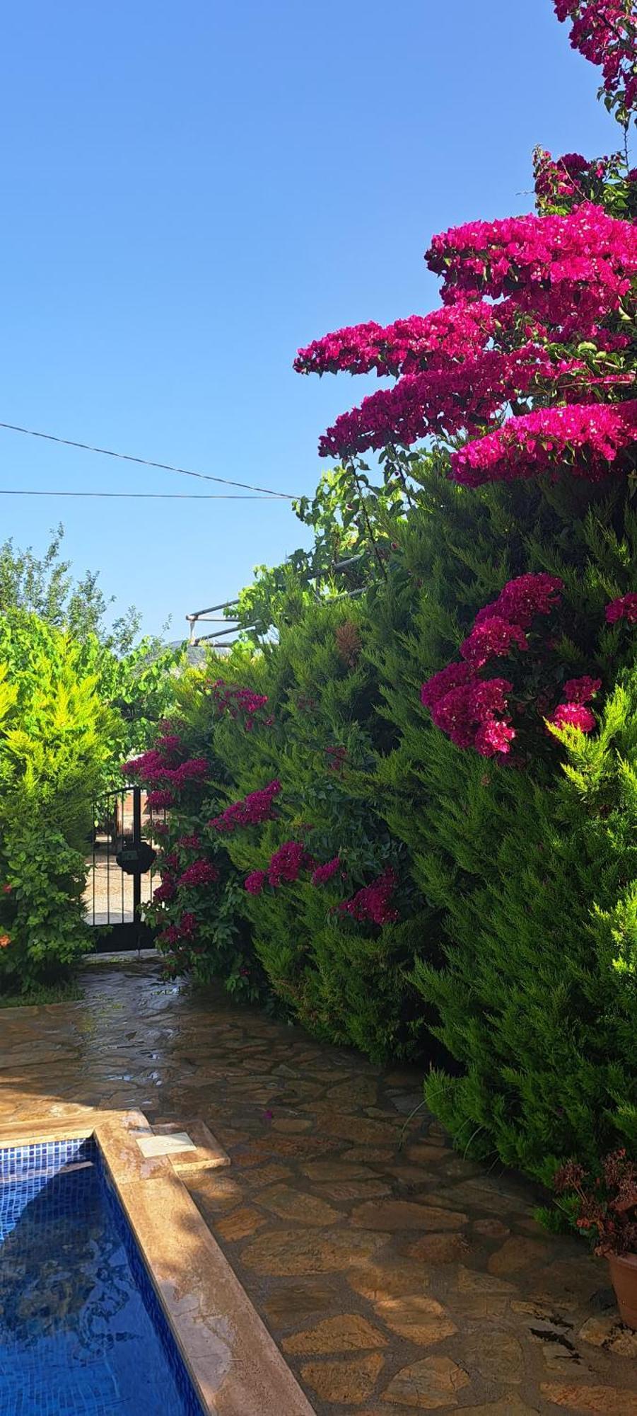 Villa Ebrar Dalyan Mugla Eksteriør billede